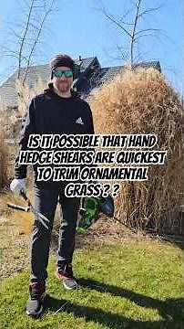 Quickest way to trim/cut ornamental grass in spring-time