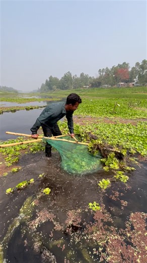 Rural Adventure: Net Fishing in Deep Jungle River