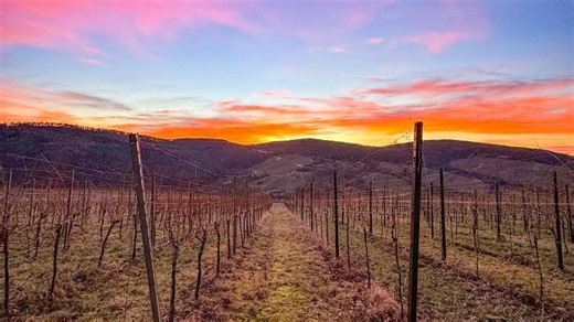Wetter im Kreis Ludwigsburg: Ein erster Hauch von Frühling am Wochenende im Kreis Ludwigsburg