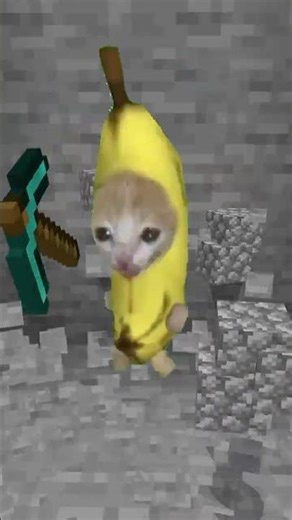 直下掘りするバナナ猫 #マイクラ #猫ミーム #bananacat