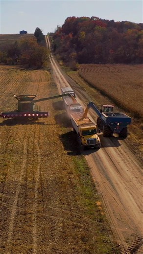 Happy Halloween Everyone! | McBee Farm & Cattle Co