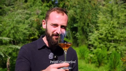 Paravis Journeys on Instagram: "This is Giorgi, one of our sommeliers. In this short video, he touches on the foundations of Georgian wine. Authenticity here comes from people who are close to the wine in everyday life, the kind of knowledge you only get through routine, repetition, and shared conversations. Georgia is considered the birthplace of wine, with a history that goes back more than 8,000 years. Wine here has never been separated from daily life or the seasons. One of the clearest expr