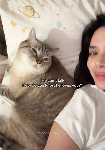 How to Tell if Your Cat Loves You: Cat Signals Explained