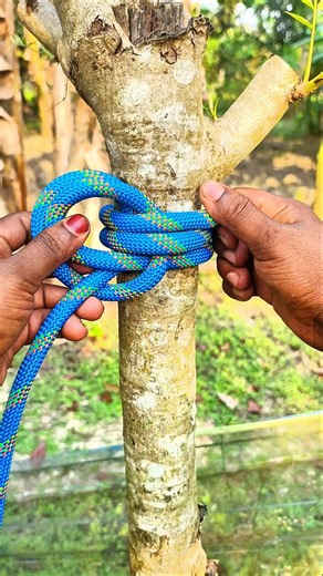 Constrictor Knot|| Terrible Strong💯