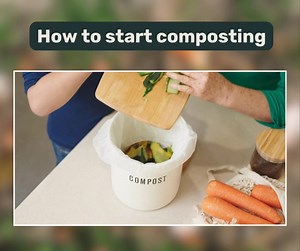 Green is good 🌿💚🥦 Keen to learn how to compost? 🙋‍♂️ Composting is a free and simple process that you can do with or without a backyard 🙌 Garden waste and fruit and vegetable scraps can be composted at home to improve your garden's health. To get started you'll need: 🥑🥕🍌 Scraps, and lots of them! Collect enough compost ingredients to half-fill the compost bin. Make sure to include a mix of carbon and nitrogen materials (see compost ingredients table at the link below for guidance). 1️⃣ P