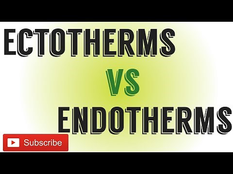 Ectotherms Vs Endotherms.Difference between Ectotherms and endotherms.