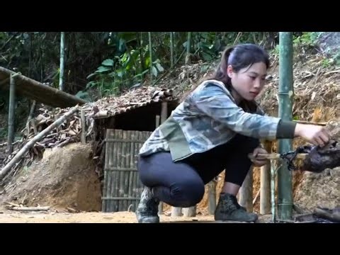 Survival Alone in the Rainforest: Building Shelter, Finding Food, and Staying Safe