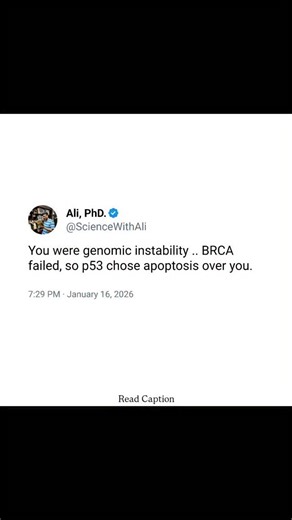 Ali -PhD || PU 🇮🇳 on Instagram: "Genomic instability, often arising from DNA double-strand breaks, is primarily countered by the BRCA1/BRCA2 proteins, which play a central role in high-fidelity DNA repair through homologous recombination. When this repair pathway functions properly, damaged DNA is accurately restored, allowing the cell cycle to proceed safely. However, if BRCA-mediated repair fails or the damage is excessive, the cell activates p53, a master regulatory transcription factor oft