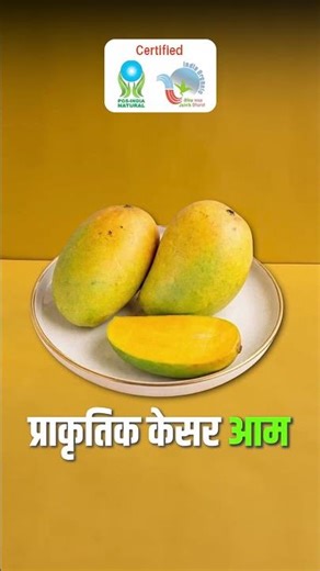 Are Your Mangoes Really Natural? | SPNF Super FPO