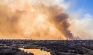 Chernobyl: Radiation levels spike as a result of forest fire