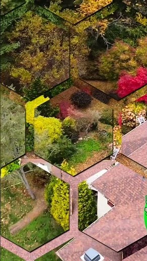 Backyard transformation part 1( clean up and excavation ) #landscape #backyard #dothingsyoudontwant