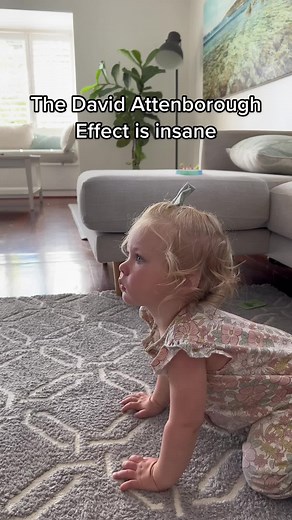 When all else fails, this stops her from being upset @ #baby #hack #davidattenborough