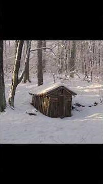 Winter Bushcraft Overnight in a Hand-Built Log Cabin #survival#bushcraft #snow #secretshelter