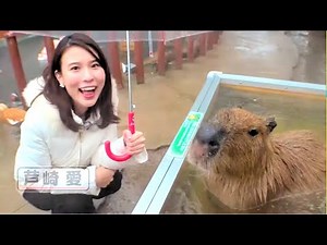 ハマナビ 次回予告（1月18日放送）