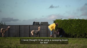 3.2K views · 231 reactions | Alpaca poop fuel bricks…a perfect source of winter warmth! Tonight, Yorkshire Vet Matt lends a hand with his client Jane’s new business. The Yorkshire Vet Channel 5 #WinterOnTheFarm 蓮  | This Week on the Farm | Facebook