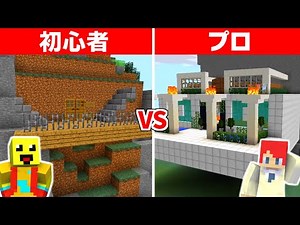 Beginner vs. Pro Cliffside Security House Showdown [Minecraft]