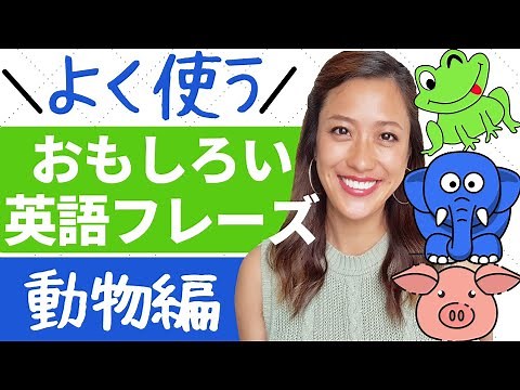 英会話力アップする面白い英語フレーズ10選【動物編】