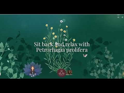 In Rhythm with Nature - Google Arts and Culture