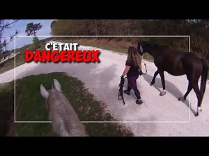 BIG FRIGHT: WE CAME CLOSE TO AN ACCIDENT