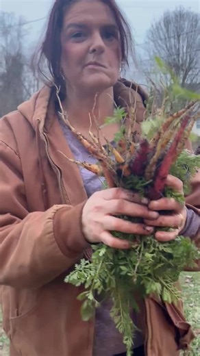 I accidentally harvested these carrots today and this is what came to mind. Don’t grow weary in doing good. 🌱 Even when the work feels unseen and the waiting feels long, heaven is still at work. This is not wasted time—it’s preparation. God is strengthening your roots, refining your heart, and aligning the harvest. In the right time—His time—you will reap what you’ve been faithfully sowing. Stay steady. Stay obedient. Stay hopeful. This season is building what the next one will reveal. “Let us 