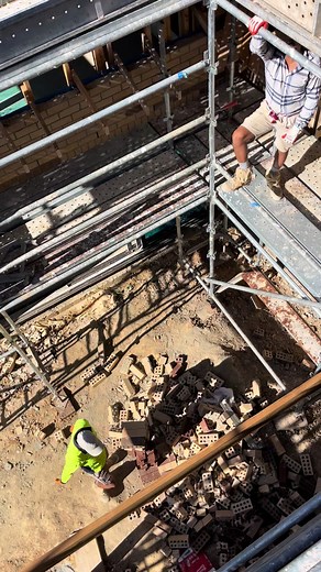 King wolf Bricklayer on TikTok