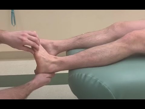 Extensor Digitorum Longus | Muscle Testing, Toe Extension & Length | RMT Exam Tutorial