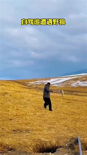 The Benefits of Using Trekking Poles for Hiking