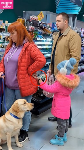 La Silenciosa Súplicas de la Niña Respondida por su Leal Perro Un perro se convirtió en un héroe inesperado después de notar la silenciosa llamada de ayuda de una niña . . . (Sólo con fines de entretenimiento. Consulte a profesionales si se presentan orientaciones sobre actividades. Si se muestra alguna marca, no implica ninguna afiliación. Si se inspiran en hechos reales, pueden incluirse adaptaciones creativas. El contenido puede incluir imágenes públicas.) | Amo a los animales