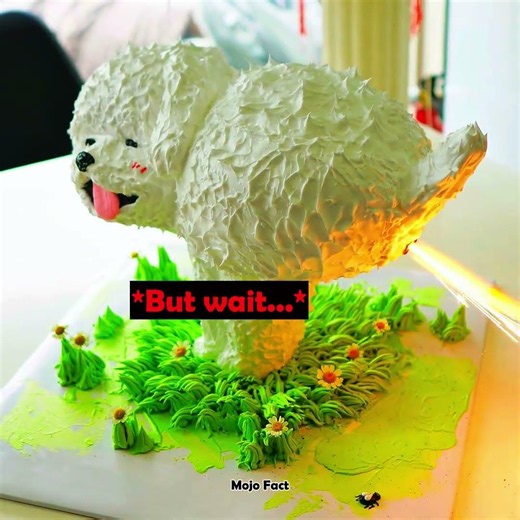 Most weird cake ever 🤭