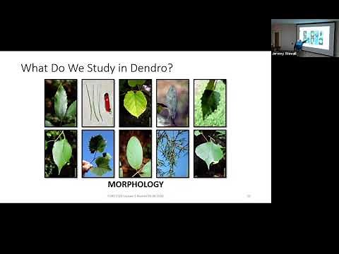 Intro to Dendrology