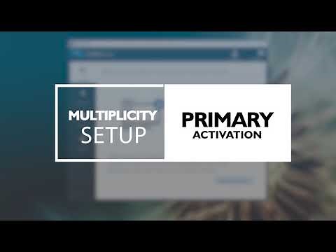 Install and Setup Multiplicity from Steam