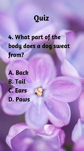 Expand your horizons with our fascinating random quiz, packed with knowledge, facts, and brain teasers to test your intellectual prowess! #factsfortheday #education #knowledge #facts #quiz #factsdaily #QuizTime | Mindbreaker Mayhem