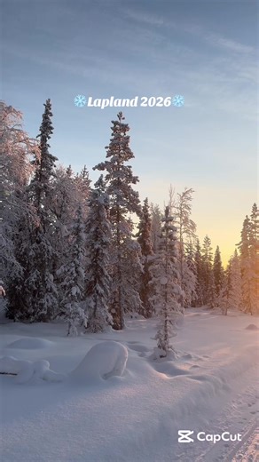 Explore Lapland 2026: A Winter Wonderland Adventure