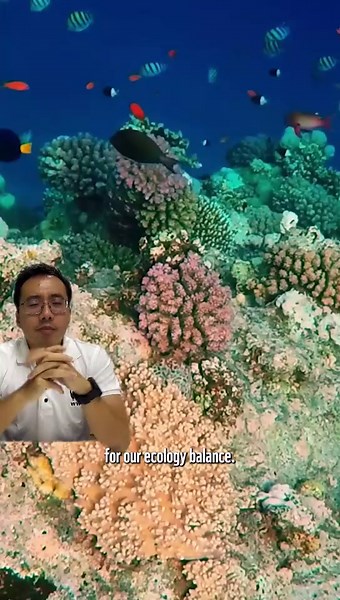 Sooo..what exactly are marine protected areas, and how do they benefit us?! Discover the significance of Marine Protected Areas (MPAs) with Chester, our Marine Conservationist, and learn how these areas play a crucial role in ensuring the sustainability of our oceans! #mpas #marinelife #oceans #marineconversation #wwfsg