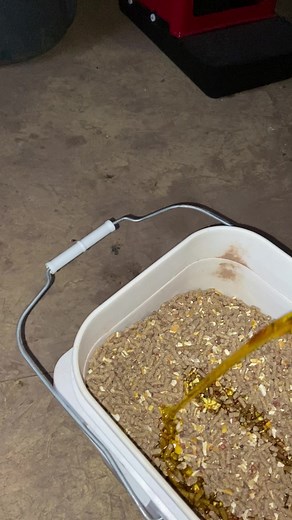 Feeding Tips for Gamefowl: Scratch Grain and Kickin Chicken Mix