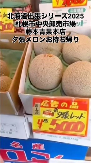 Hokkaido Business Trip Series 2025: Sapporo Central Wholesale Market, Fujimoto Seika, Souvenirs a...