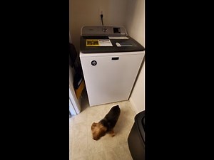 Maytag Washing Machine 4.8 cu ft. White Top Load with Deep Fill Model #MVW6200KW0 How to use Review