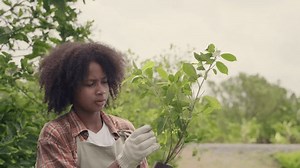 Happy Children Farmer Hand Holdig Big Stock Footage Video (100% Royalty-free) 1101012425 | Shutterstock