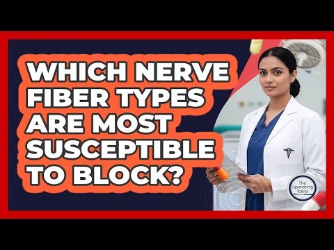 Which Nerve Fiber Types Are Most Susceptible To Block?