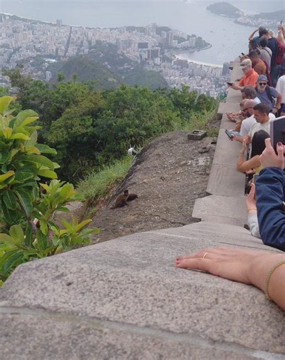 Pedro Rocha on Reels