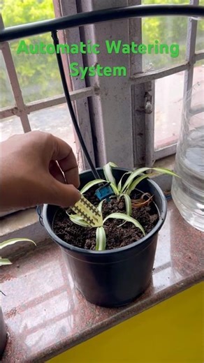 Automatic Watering System ATL lab project