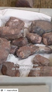 12K views · 154 reactions | 秊秊Nuevo dinosaurio descubierto en Argentina! Científicos del Museo Argentino de Ciencias Naturales (MACN) descubrieron e interpretaron los huesos de un nuevo dinosaurio herbívoros秊秊Fuente: @laligadelacienciaargentina @macn.oficial #biologia #ciencia #biodiversidad #dinosaur #dinosaurios #science | Biología | Facebook
