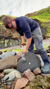 The sea may look calm now 🌊 but millions of years ago it was home to monstrous marine reptiles and swarms of ammonites 🦑🦖 Every fossil is a snapshot of that world 🤯 For ammonite rocks to crack open, please visit our official online store yorkshirefossils.NET (link in bio) or message directly on Instagram @yorkshire.fossils 🦕 For more videos, check our YouTube / TikTok! 🏝 Thanks for supporting our page! 🐊 #natural #nature #fossil #fossils #ancient #animals #art #fblifestyle #ammonite #ammo