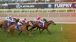 3.6K views · 44 reactions | An action packed start to the new racing season at Flemington Racecourse!  | Flemington Racecourse and Victoria Racing Club | Facebook