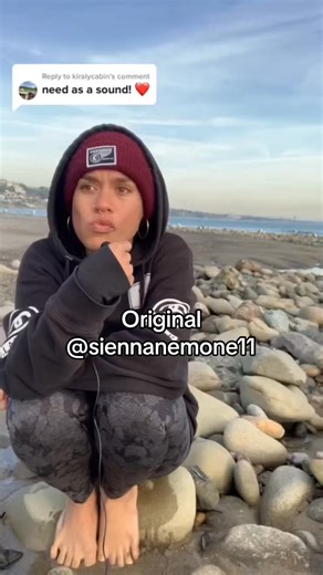 Then again, at least they dont turn study hall into target practice so maybe we’re not that much better #fyp #foryou #viral#nature | Mndiaye Review