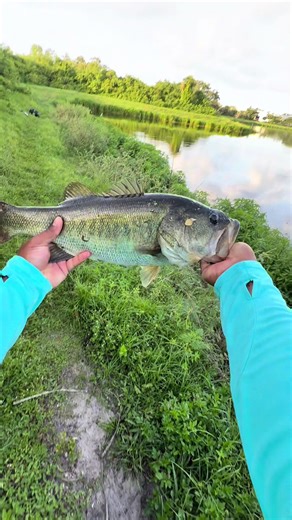 Rae Dink Fishing on TikTok