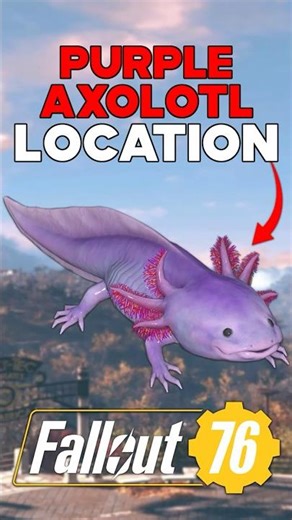 Where To Catch The PURPLE AXOLOTL In Fallout 76