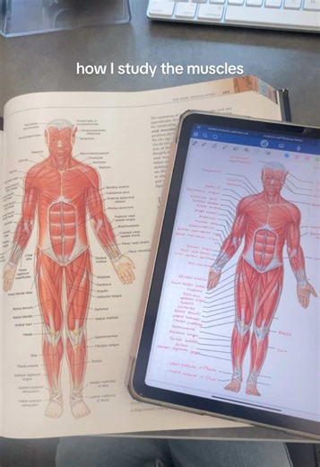 Mastering Muscle Anatomy with Active Recall Techniques