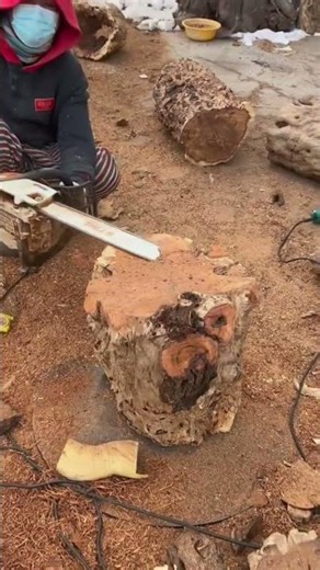 cutting various large raw wooden logs using a portable electric chainsaw machine on the ground