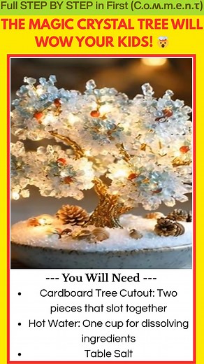 39K views · 252 reactions | Make Your Own Magic Crystal Tree at Home Looking for a science activity that kids will love? These DIY magic crystal trees are frosty, enchanting, and surprisingly easy to grow. With just a few simple ingredients, you can create delicate crystal formations right at home. | Kira Recipes | Facebook